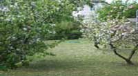 Ferienwohnungen-Usedom